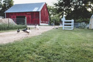 2016 Annual Lubber's Family Farm Potluck